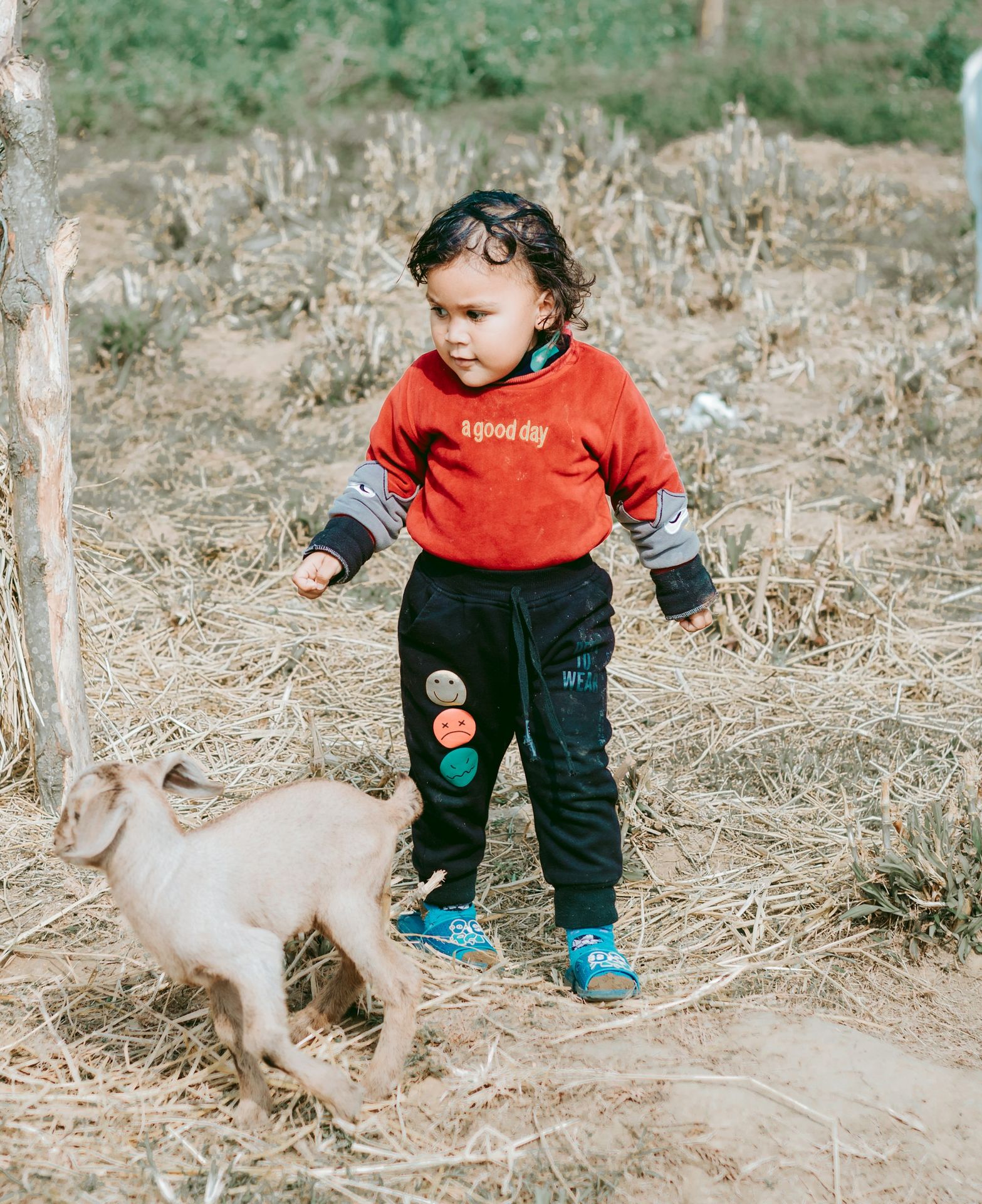 a small child standing next to a baby goat