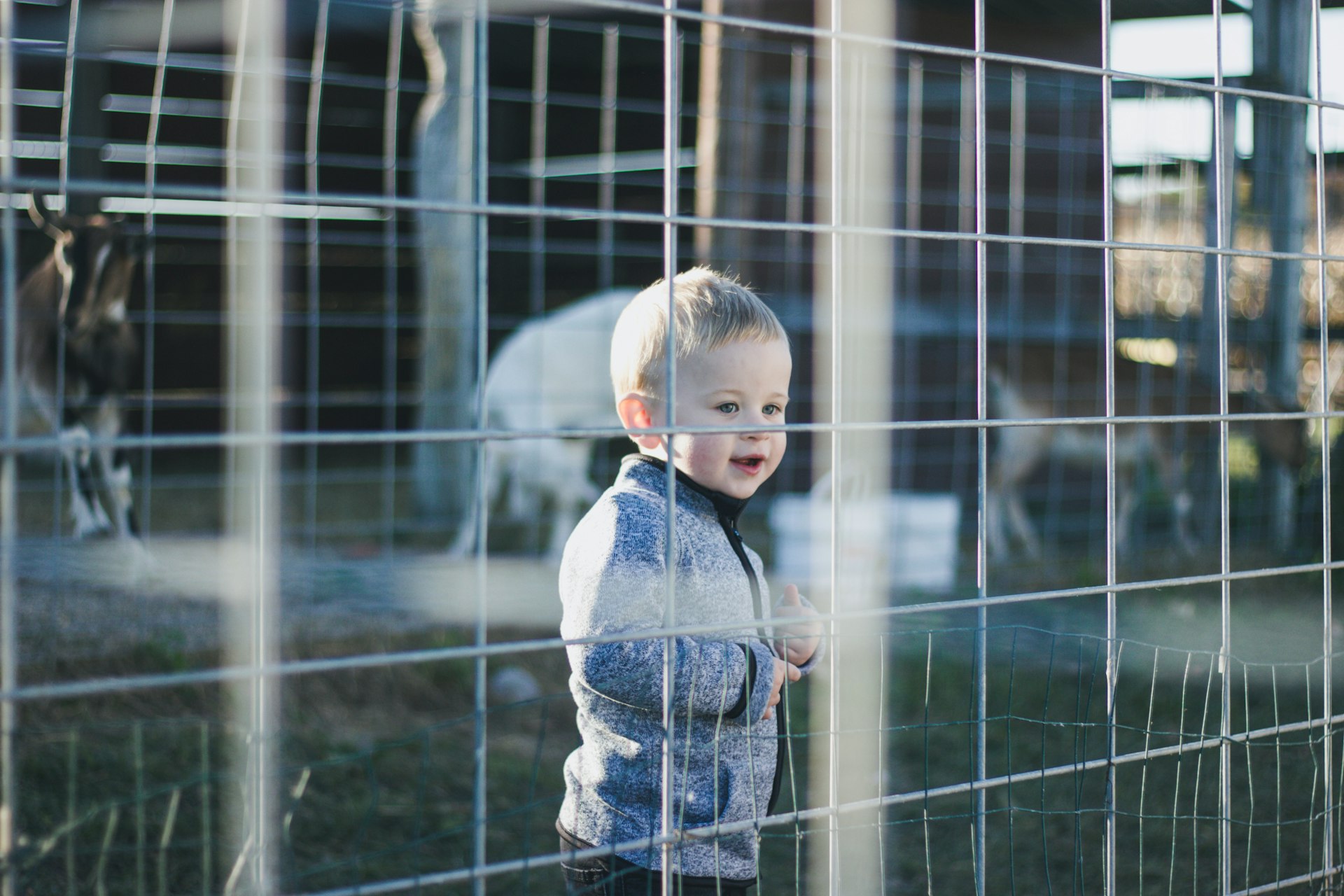 child in blue denim jacket standing near black metal fence during daytime